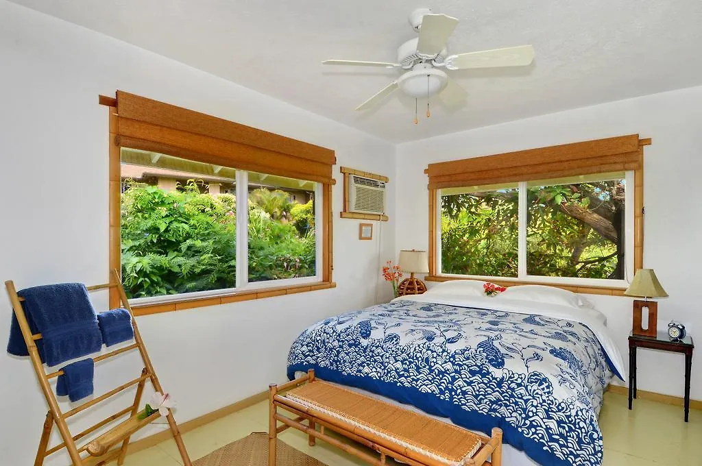 17 Palms Kauai Villa Kapa'a 0*,